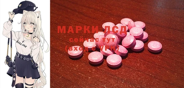 прущие грибы Покров