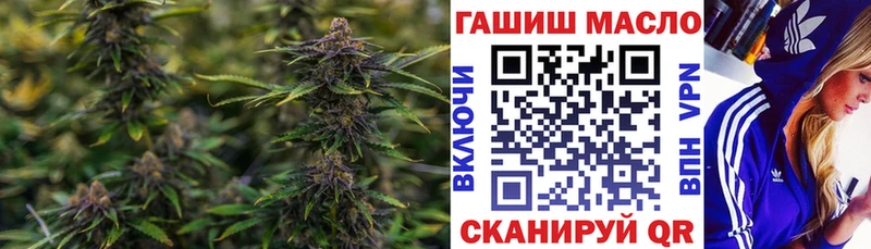 где найти   Азов  ТГК вейп 